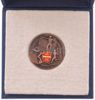 Szentesy Hiesz Géza (1896-1975) 1972. Részben műgyantás, bronz díjérem, hátoldalán 'BP. kupa cs. 1972. III.' gravírozással, dísztokban (40mm) T:AU