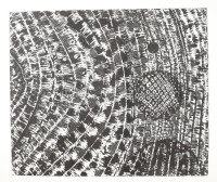 Gyarmathy Tihamér (1915 - 2005) emlékére: 12 lapos grafikai mappa, Budapest 2005. Különböző sokszorosító grafikai technikák (8db rézkarc, 3db cinkográfia, 1db linómetszet), merített papír. Jelezve laponként GY szárazpecséttel,