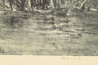 Aszódi Weil Erzsébet (1901-1976): Duna fái. Rézkarc, papír, jelzett, kartonra kasírozva, 29×40 cm