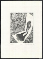 Baranyai Zsolt (-): Árnyék, 2000. Rézkarc, papír, jelzett, 1/15 számozással. 18,5x13,5 cm