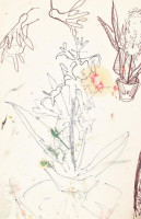 D. Borbély Gizella (1920-198?): Vázlatfüzet razokkal, feljegyzéssekkel, saját versekkel, 1971. Egyes lapok a hátoldalukon jelzettek. 18x24 cm