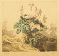 Hajdú Katalin (1932-): Ciklámen. Színezett rézkarc, papír, jelzett, 29x32 cm