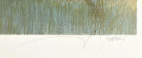 François d'Izarny (1952-): Ódon kocsi. Litográfia, papír, jelzett, számozott (122/225). 46x63 cm.