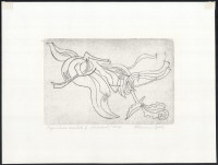 Kőhegyi Gyula (1933- ): Organikus vonalak II., 2007. Rézmetszet, papír, jelzett, 12,5x18,5 cm. Lap jobb felső sarkában paszpartuzás nyomaival.