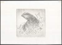 Kőhegyi Gyula (1933- ): Organikus vonalak I., 2007. Rézmetszet, papír, jelzett, 12,5x18,5 cm. Lap felső sarkaiban paszpartuzás nyomaival.
