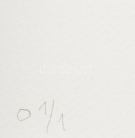 Kelle Antal (1953-): Twisted, 2021. Kollázs, karton, papír. Jelzett, számozott (0 1/1). 26,5x21 cm. Egyedi, gyűjtői darab! / Antal Kelle (1953-): Twisted, 2021. Collage. Signed, numbered (0 1/1). Framed. 26x21 cm. Unique, collector's piece!