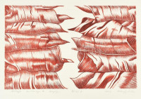 Kőszeghy Csilla (1977-): Növények anatómiája IV., 2003. Litográfia, papír, jelzett, művészpéldány E.A. IV/8. számozással. 30x48 cm