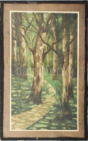Nyáregyházi báró Nyáry Pál (?-?): Erdei ösvény. Akvarell, papír. Jelezve jobbra lent. Üveg mögött. 29x16,5 cm