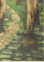 Nyáregyházi báró Nyáry Pál (?-?): Erdei ösvény. Akvarell, papír. Jelezve jobbra lent. Üveg mögött. 29x16,5 cm