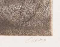 Olexa József (1960-): Erdőrészlet. Rézkarc, papír, jelzett, egyedi nyomat, üvegezett fakeretben, 20×20 cm