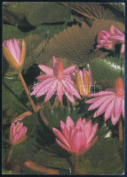 1989