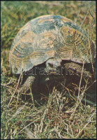 ~1994