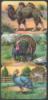 cca 1900 5 db litho állatos kép (elefánt, páva, stb.), hajtottak