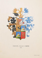 ca 1900 16 db különböző nemesi címer, Litografált címerrajzok, ca 1900 Posner Károly., lap méret 25x35 cm szép állapotban