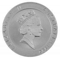 Ausztrália 1995. 10$ Ag 'Murray Rose - Ausztrália Élő Legendái' T:PPAustralia 1995. 10 Dollars Ag 'Murray Rose - Australia's Living Legends' C:PPKrause KM#302