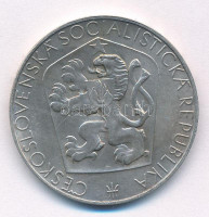 Csehszlovákia 1965. 25K Ag 'A felszabadulás 20. évfordulója' T:XF kis ph, patinaCzechoslovakia 1965. 25 Korun Ag '20th Anniversary-Czechoslovakian Liberation' C:XF small edge error, patinaKrause KM#59