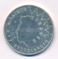 Hollandia 1987. 50G Ag 'Beatrix' T:XF kis patinaNetherlands 1987. 50 Gulden Ag 'Beatrix' C:XF small patinaKrause KM#209