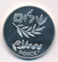 Izrael 1980. 200L Ag 'A függetlenség 32. évfordulója / Izraeli-Egyiptomi Békeszerződés' T:UNC,AU Israel 1980. 200 Lirot Ag '32nd Anniversary of Independence / Israel Egypt Peace Treaty' C:UNC,AU Krause KM#104