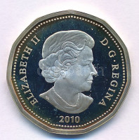 Kanada 2010. 1$ Ag 'Vancouveri Téli Olimpia' részben multicolor, kapszulában T:AU (PP) patina, ujjlenyomat, karcCanada 2010. 1 Dollar Ag 'Vancouver Winter Olympics' partially multicolor in capsule C:AU (PP) patina, fingerprints,