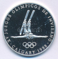 Panama 1988. 1B Ag 'Téli Olimpia 1988 Calgary - Síakrobatika' forgalomba nem került fantázia emlékérme T:PP kis karcPanama 1988. 1 Balboa Ag 'Winter Olympics 1988 Calgary - Free-Style skier' non-circulating commemorative fantasy coin C:PP