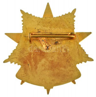 ~1950. 'Kiváló Bányász' aranyozott, zománcozott kitüntetés (~31-33mm) T:XF