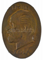 Beck Ö. Fülöp (1873-1945) DN 'Emile Zola' bronz lemezplakett hátoldalán pántokkal (57x40mm) T:XF