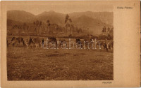 Dieng Plateau
