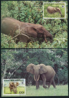 1988 WWF: Erdei elefánt sor Mi 1009-1012 4 db CM-en