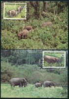 1988 WWF: Erdei elefánt sor Mi 1009-1012 4 db CM-en