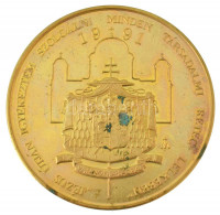 Bognár György (1944-) 1991. Mindszenty József Bíboros Hercegprímás 1892-1975 kétoldalas, aranyozott bronz emlékérem (42,5mm) T:AU (eredetileg PP)