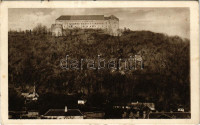 1917 Gidrafűrész, Pila bei Schattmannsdorf, Sägmühl, Píla (Castá), Vöröskő vára Pilafűrésszel. Horovitz Adolf kiadása / Bibersburg mit dem Pilatal, beliebte Sommerfrische in der Nähe von Nagyszombat / Cerveny Kamen castle (EK)