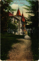 1914 Iglófüred, Spisská Nová Ves Kupele, Novovesské Kúpele, Hungária villa. Wlaszlovits Gusztáv kiadása / villa (lyuk / pinhole)