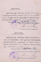 cca 1896-1918 Teszling József (1877-1960) császári és királyi ezredes kinevezési okmányai (kadét, kapitány, hadnagy, főhadnagy, őrnagy) + kabinetfotója.