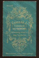 KOLOZSVÁR 1880. ca. Császár : Hölgy, visit fotó