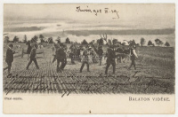 BALATON 1905. Praxi-munka. D.K.F.E. 903., aratás