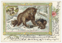 MEDVE litho , századfordulós képeslap 1900.