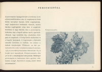 Növényvédelmi Útmutató, 1949-50. 32 oldalas, érdekes , kiadvány